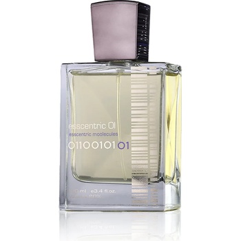 Fragrance World Esscentric 01 EDP 100 ml