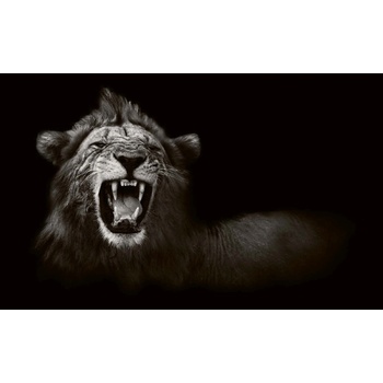 DIMEX ART s. r. o Флизелинов фототапет див африкански лъв 375 x 250 см