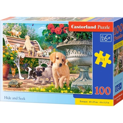 Castorland premium Schovávaná 100 dílků
