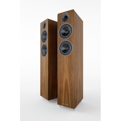 Acoustic Energy AE309