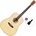 SX 304G Basic SET Natural Gloss Акустична китара