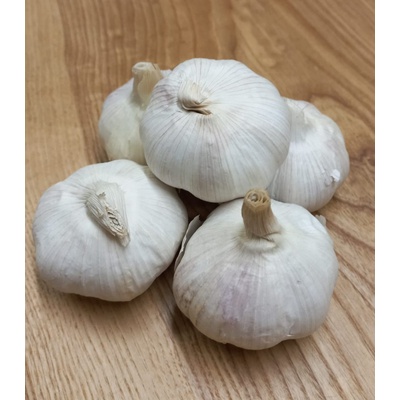 Sadbový česnek Garpek - Allium sativum - paličák - prodej cibulí česneku - 1 balení