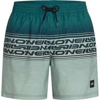 O'Neill Logo stripe 16'' l