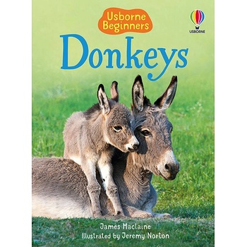 Donkeys Usborne Publishing
