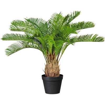 Umělá rostlina cykas cycas revoluta 60 cm zelená v plastovém květináči se zeminou 15x13 cm