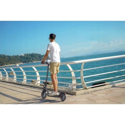 iScooter 2023 i9max Scooter