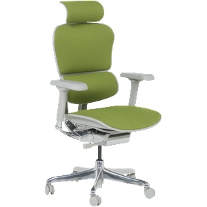 Ergohuman Ергономичен стол ergohuman elite 2 - сива рамка - зелен (3520666) - tierradesign