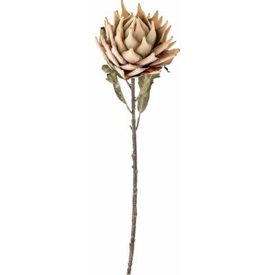 Umělá květina Bloomingville protea 76 cm béžová