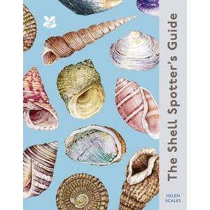 Shell-spotter's Guide (ISBN: 9780008641313)