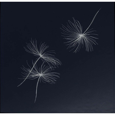 Sander Ubrus White Blow černý 85x85cm