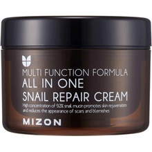 Mizon All In One Snail Repair Cream s filtrátom slimáčieho sekrétu 92% 120 ml