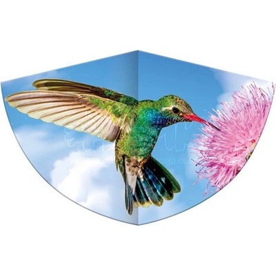 Günther GmbH & Co. Šarkan Kolibri