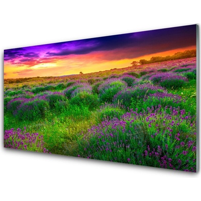 Obraz na skle Louka Příroda 100x50 cm