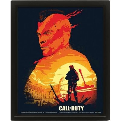 3D Obraz Call of Duty, EPPL71433