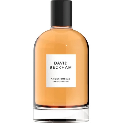 David Beckham Amber Breeze parfumovaná voda pánska 100 ml
