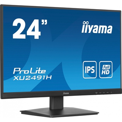 iiyama ProLite XU2491H-B1