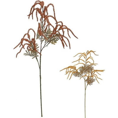 KONÁR AMARANTUS MIX/2F 80CM