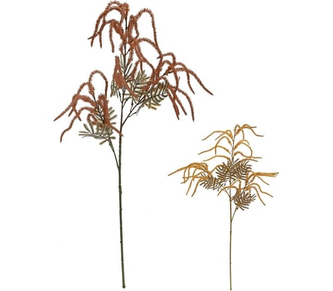 KONÁR AMARANTUS MIX/2F 80CM