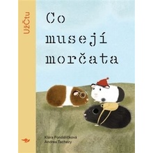 Co musejí morčata - Klára Pondělíčková