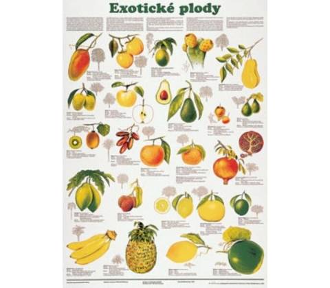 Schéma - Exotické plody