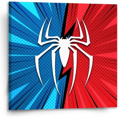 Sablio Obraz Spider Varianta: 110x110cm