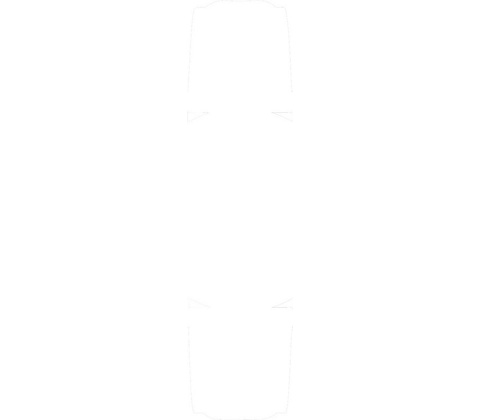 Timex T2P563