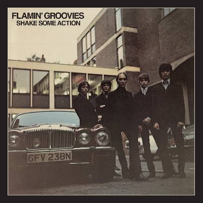 Warner Flamin' Groovies: Shake Some Action - 2CD (095259)