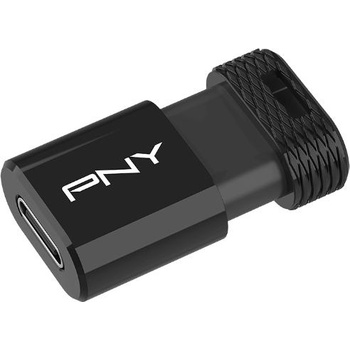 Image 1 of PNY Elite-X 256GB USB-C 3.2 (P-FDI256EXFITC-GE)