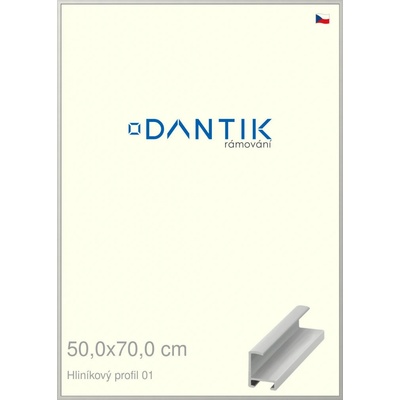 DANTIK rám na obraz 50 x 70 Stříbrná matná