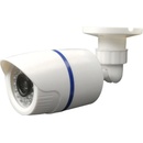 Bentech Dummy8