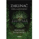 Zaklínač VI.: Veža lastovičky - Andrzej Sapkowski, Brian Terrero ilustrátor, Jakub Šimjak ilustrátor