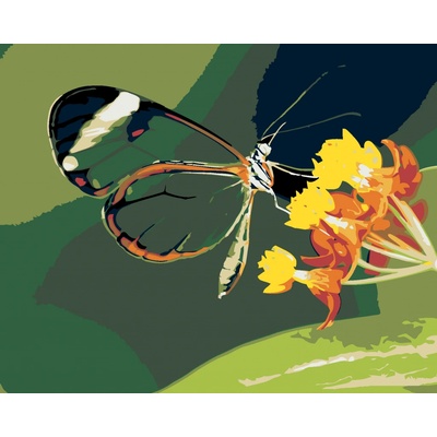 zuty malování podle čísel Motýl a květiny 100 x 80 cm vypnuté plátno na rám
