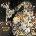 Kate Bush - Never For Ever (Indie Exclusive) (Blade Bullett Coloured) (Remastered) (180 g) (LP) (5057998201013)