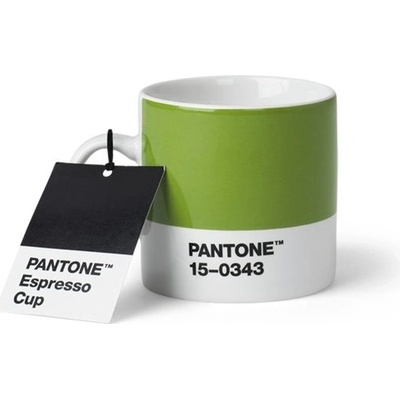 Pantone Espresso Green 15-0343 120 ml