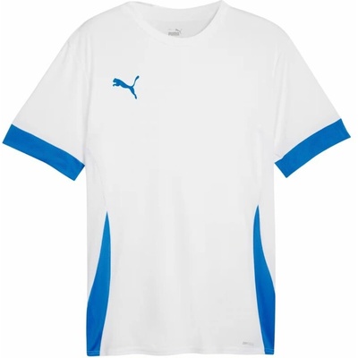 Puma teamGoal Matchday Jersey M 705747 12