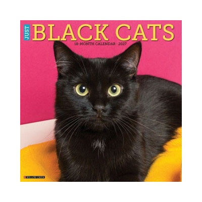 Black Cats 12 X 12 Wall 2027