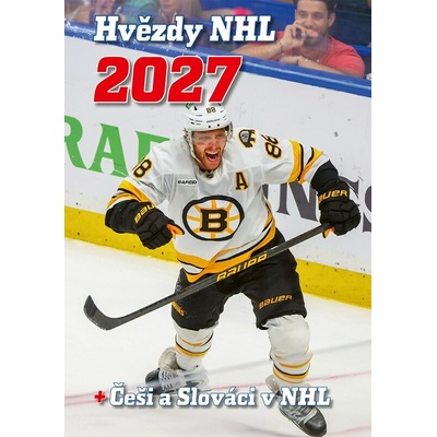 Hvězdy NHL 2027