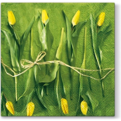 PAW obrúsky L Fresh Tulips 33x33cm