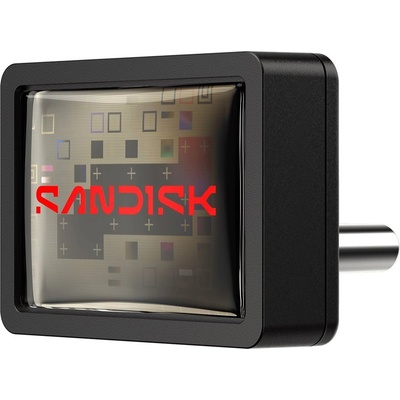 Extreme Fit USB-C - 256GB (SDCZ530-256G-G46)