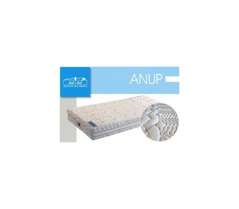 Dormisan Anup