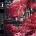 Foals - Everything Not Saved Will Be Lost Part 1 (LP) (190295500924)