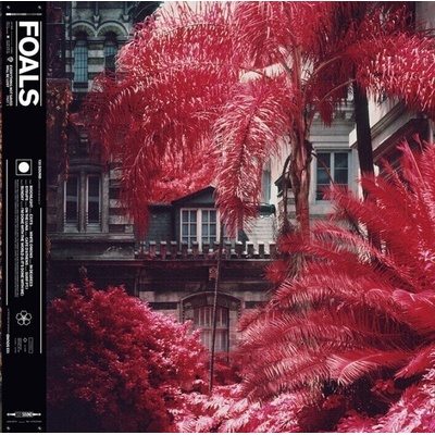 Foals - Everything Not Saved Will Be Lost Part 1 (LP) (190295500924)