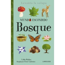 MUNDO ESCONDIDO BOSQUE