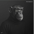 Felsmann + Tiley: Protomensch LP