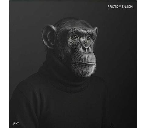 Felsmann + Tiley: Protomensch LP