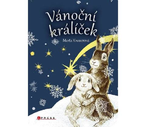 Vánoční králíček