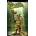 Sony Daxter (PSP)