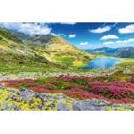 DIMEX ART Флизелинов фототапет зашеметяваща природа 375 x 250 см