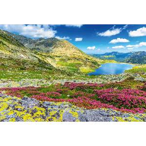 DIMEX ART Флизелинов фототапет зашеметяваща природа 375 x 250 см
