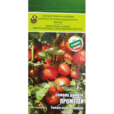 ИЗК Марица Домати Прометей - ИЗК Марица